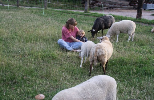 Hirschberg Apartment | Vacations on a farm with horses on the Bergstrasse
