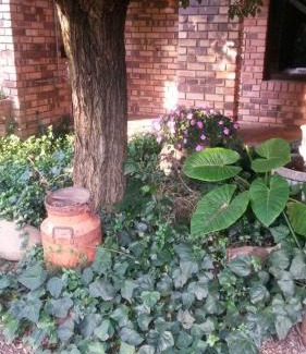 Vanderbijlpark House | VAAL RIVER GUEST HOUSE