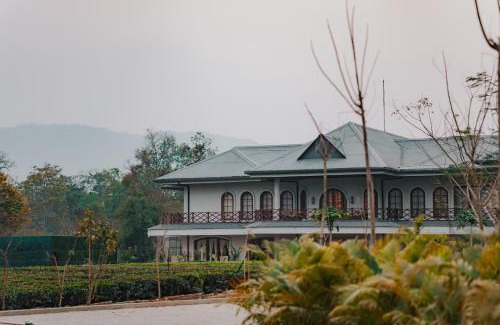Nagaon Resort | Vaani Greens Wildlife Resort, Kaziranga