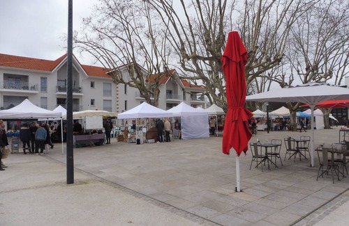 Andernos-les-Bains Apartment | VAC WITHOUT CAR, APT T2 (67m2), AIR CONDITIONED, 200M BEACH, PRIVATE PARK