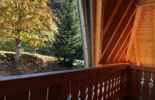 Menzenschwand-Hinterdorf Apartment | Vacation apartment/apartment for 4 guests with 50m² in St. Blasien - Menzenschwand (268383)