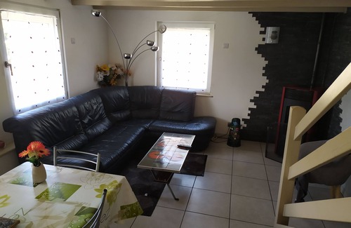 Saulxures-sur-Moselotte House | Vacation cottage * - Panoramic view - Sauna - Near lake - Mountain