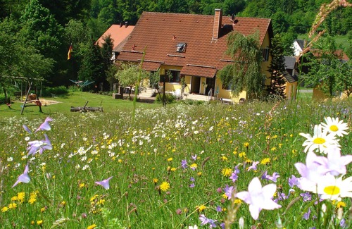Hollfeld Apartment | Vacation apartment 1 - Guesthouse Seeber