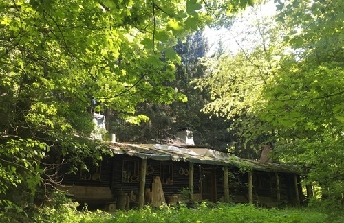 Bertsdorf-Hoernitz House | Vacation apartment "Igelstübchen" in the Wild Auwaldhaus, Zittauer Gebirge