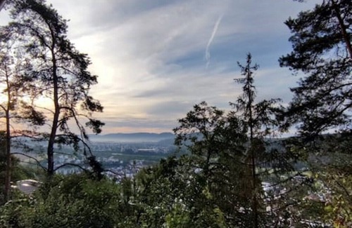 Waldshut-Tiengen Apartment | Vacation apartment 94 sqm & 16 sqm terrace - with magnificent panoramic views of the city and the Alps