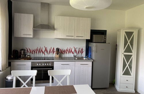 Westoverledingen Apartment | Vacation apartment directly on the Ems dyke in an idyllic location