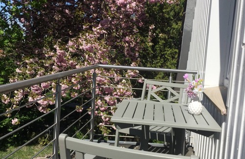 Westoverledingen Apartment | Vacation apartment directly on the Ems dyke in an idyllic location