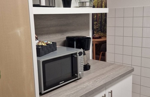 Ortsmitte Apartment | Vacation apartment/apartment for 4 guests with 45m² in Willingen (Upland) (133189)