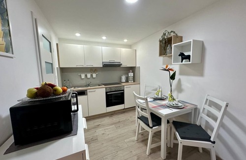 Bad Konigshofen Apartment | Vacation apartment 1 with pull-out single beds