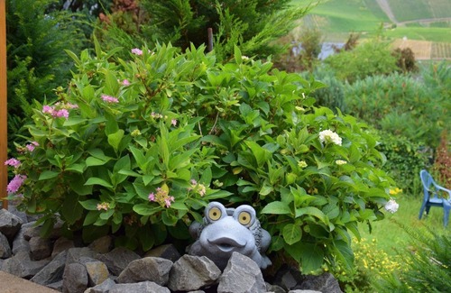 Bernkastel-Kues Apartment | Vacation apartment Panoramablick - House Constanze