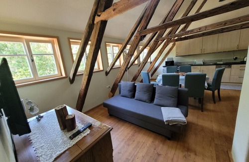 Seifhennersdorf Apartment | Vacation apartment/apartment for 7 guests with 48m² in Seifhennersdorf (273065)