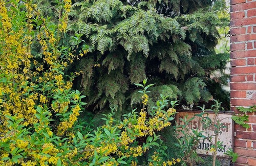 Neupetershain Nord Apartment | Vacation apartment Schusterhaus - Ferienhof Welz