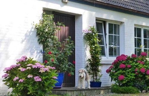 Osterhever Apartment | Vacation apartment 2 - House Heversand
