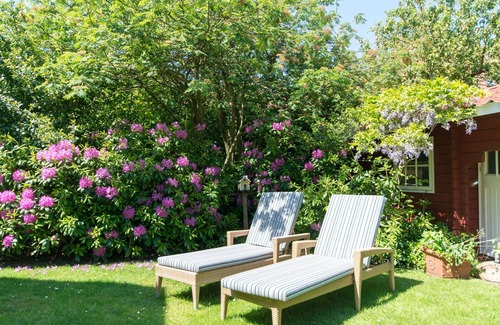 Spiekeroog Apartment | Vacation apartment/apartment for 2 guests with 40m² in Spiekeroog (149932)