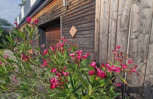 Cham Apartment | Vacation apartment am Bühl
