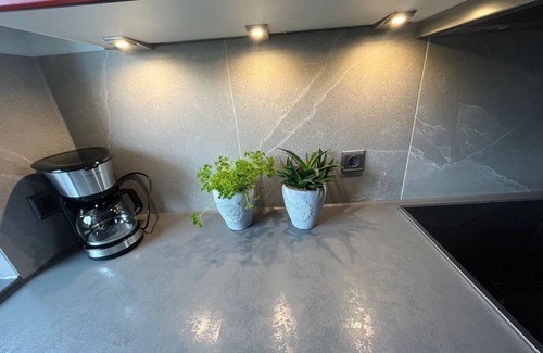 Muensingen Apartment | Vacation apartment/apartment for 4 guests with 70m² in Münsingen (183764)