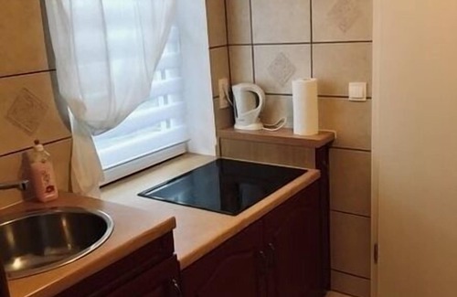 Spremberg Apartment | Vacation apartment/apartment for 3 guests with 40m² in Spremberg (128118)