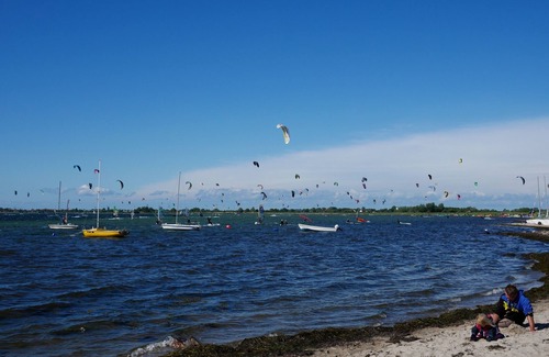 Albertsdorf Apartment | Vacation apartment/apartment for 3 guests with 43m² in Fehmarn (76372)