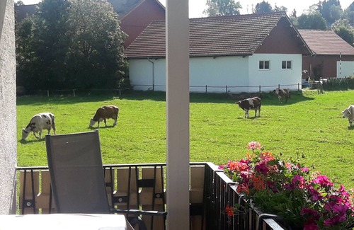 Peiting Apartment | Vacation apartment/apartment for 3 guests with 35m² in Peiting (114737)