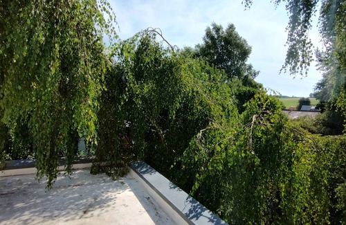 Birgel Apartment | Vacation apartment/apartment for 4 guests with 82m² in Birgel (297011)