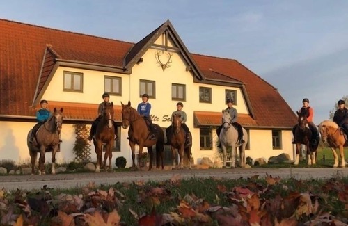 Dargun Apartment | Vacation apartment/apartment for 2 guests with 29m² in Dargun (143183)