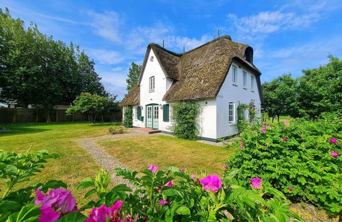 Großdunsum Apartment | Vacation apartment/apartment for 2 guests with 42m² in Dunsum (105400)