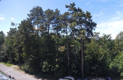 Pirna Apartment | Vacation apartment/apartment for 5 guests with 50m² in Pirna (144102)
