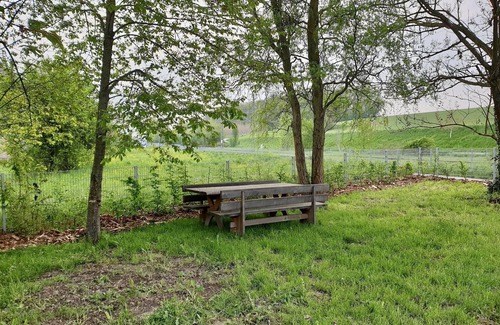 Bad Rappenau Apartment | Vacation apartment Blumenwiese, approx. 42sqm, 1 bedroom, max. 2 persons