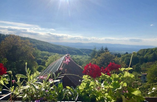 Lipburg Apartment | Vacation apartment change of view. Idyllic vacation apartment with a wonderful view!