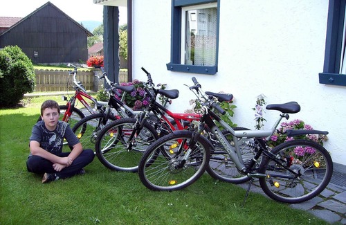Wildenranna Apartment | Vacation apartments for 6 people with pool, sauna and riding facilities
