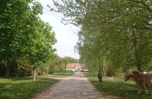 Klein Bunzow Apartment | Vacation apartment/apartment for 5 guests with 90m² in Klein Bünzow (168748)