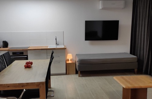 Sanderau Apartment | Vacation apartment in Würzburg city with terrace incl. parking spaces in front of the door