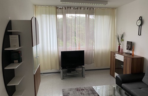 Mainz City Center Apartment | Vacation apartment Mainz City