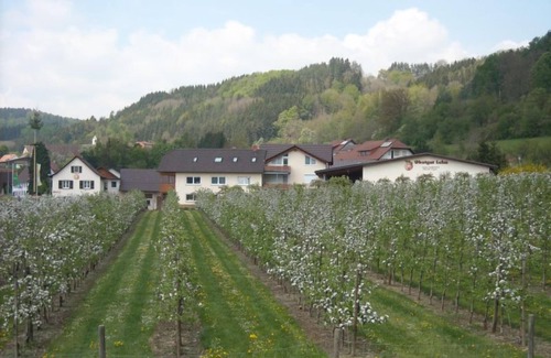 Stockach Apartment | Vacation apartment Mosterei, 60sqm, 2 bedrooms, max. 4 persons