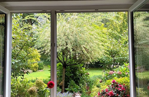 Behringen Apartment | Vacation apartment near the nature reserve and directly on the Heidschnucken hiking trail