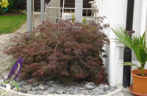 Pfullendorf Apartment | *Vacation apartment north of Lake Constance