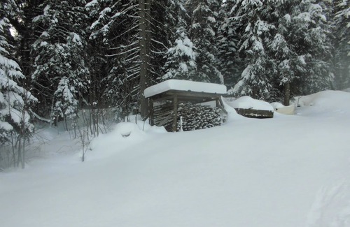 Zillertal Apartment | Vacation apartment on the edge of the forest only 100m from the ski slope.