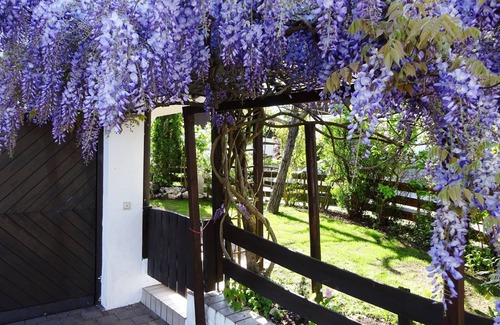 Bad Endorf Apartment | Vacation apartment Pickert, 25 sqm upper floor, gallery apartment