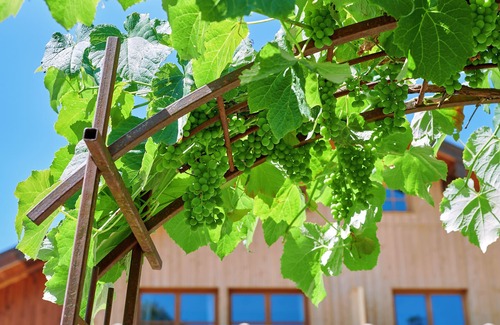 Tittmoning Apartment | Vacation apartment Tittmoning between Burghausen and Salzburg
