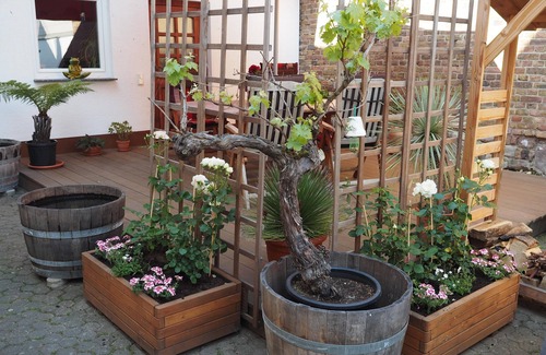 Sinzenich Apartment | Vacation apartment that combines the old with the new, near Zülpich, in a rural location