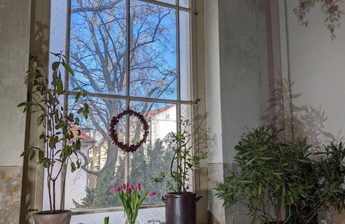 Stralsund Apartment | Vacation apartment - Villa Eisenrose