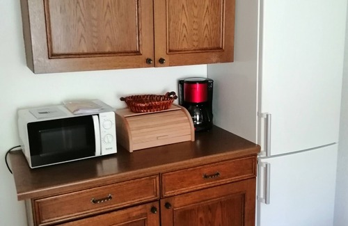 Biberwier Apartment | Vacation apartment w/62m² - 5 min. walk to ski lift – pets welcome