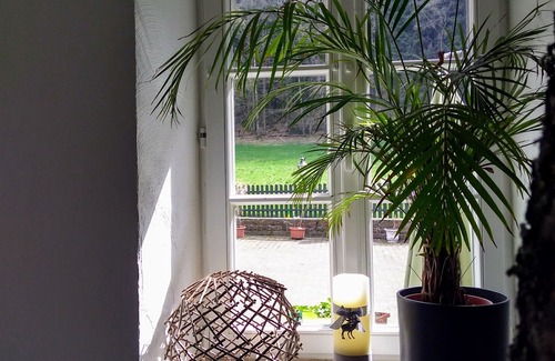 Muerlenbach House | Vacation apartment "Wildblick" - Stylish living in a historic ambience