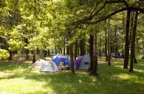 Moritzburg Apartment | Vacation apartment with terrace