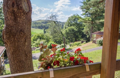 La Bastide-Clairence Ski Chalet | VACATION COTTAGES IN THE BASQUE COUNTRY A HAVEN OF PEACE IN THE COUNTRYSIDE, SWIMMING POOL