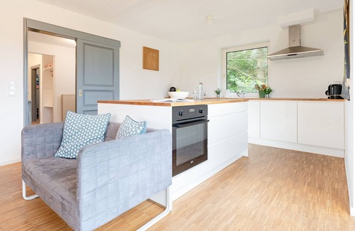 Seedorf House | Vacation home for 12 guests with 210m² in Seedorf OT Hornsmühlen (294670)