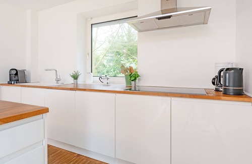 Seedorf House | Vacation home for 12 guests with 210m² in Seedorf OT Hornsmühlen (294670)