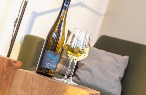 Eibelstadt Apartment | Vacation directly with the winemaker - living on the winery!