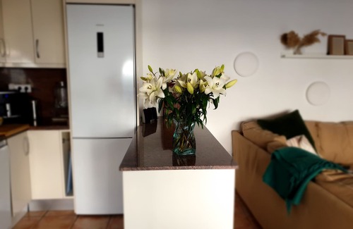 San Pedro del Pinatar House | Vacation home in Torre de la Horadada-5 min. from the beach