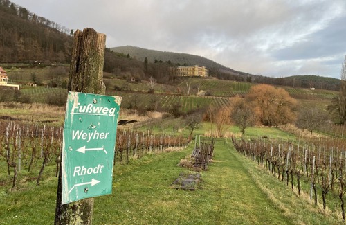 Weyher in der Pfalz House | Vacation home Pfälzer Wald Weyher - Southern Wine Route - with garden